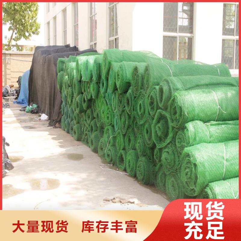 【三維植被網(wǎng)【植草格】顏色尺寸款式定制】專心專注專業(yè)
