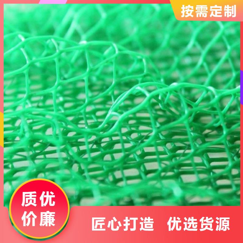 EM3塑料三維護坡植草網墊經銷商