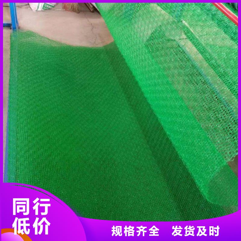 三維植被網(wǎng)土工布源頭把關(guān)放心選購常年供應(yīng)