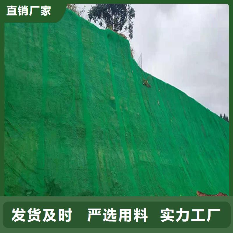 EM3三維植被網質檢合格發貨