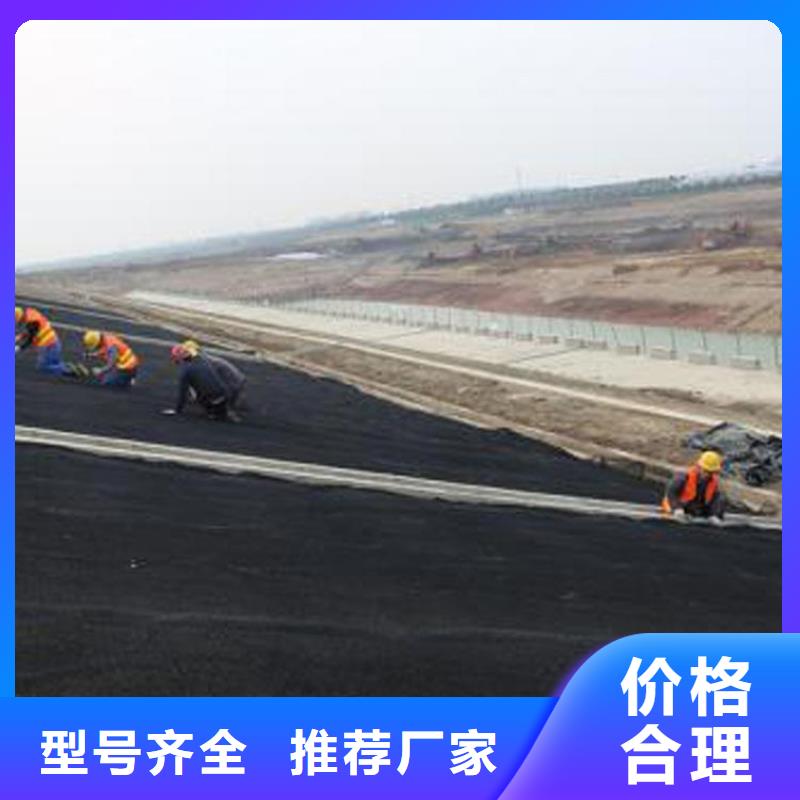 生態柔性水土保護毯廠家資訊廠家實力雄厚