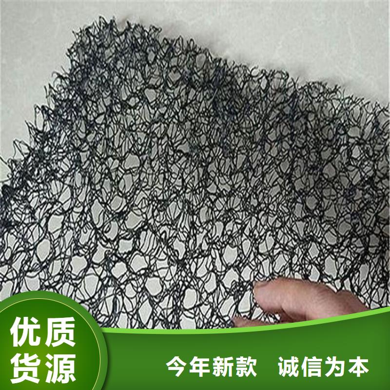 A20柔性生态三维水土保护毯厂家经验丰富