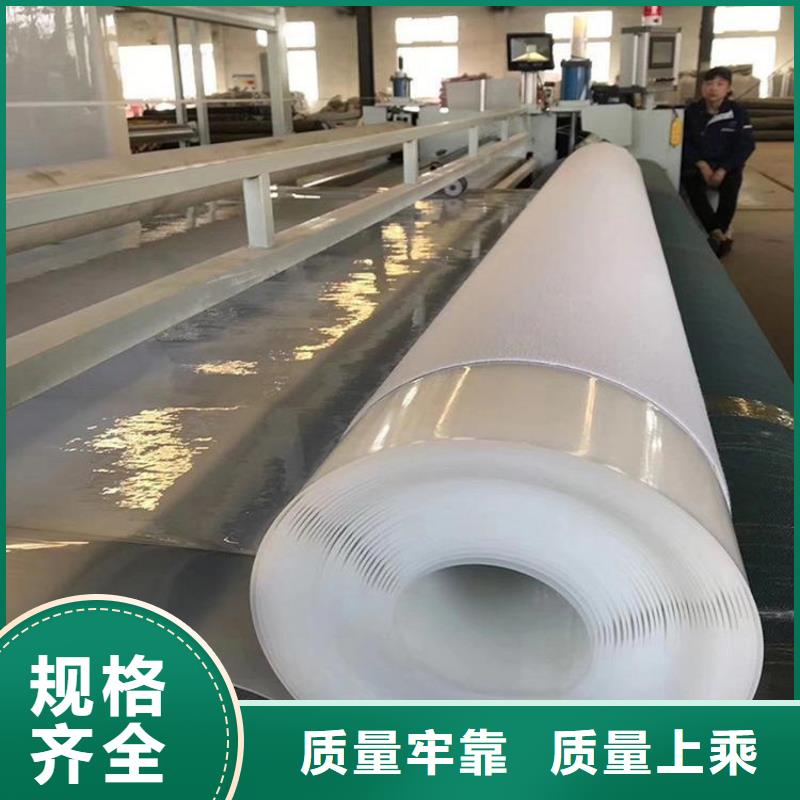 自粘ECB防水板一手貨源
