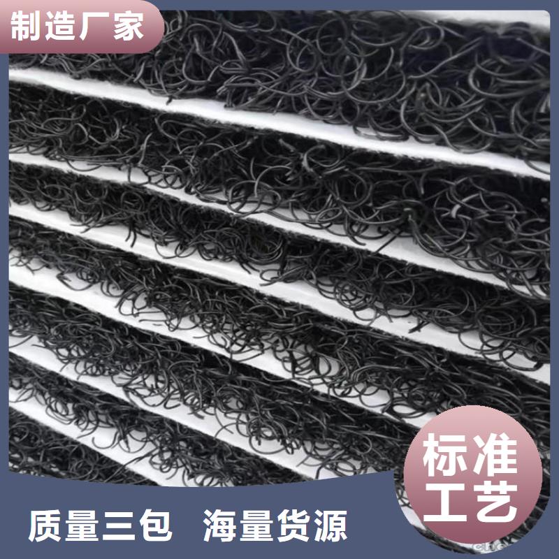 甘肅金昌RCP滲排水片材
