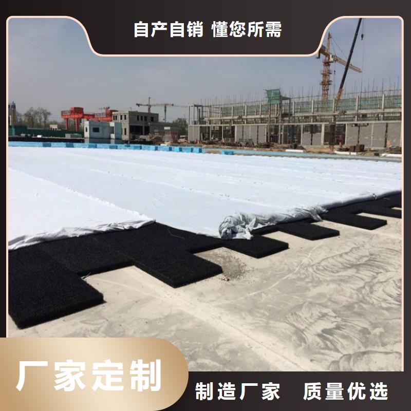 甘肅金昌2公分土工席墊