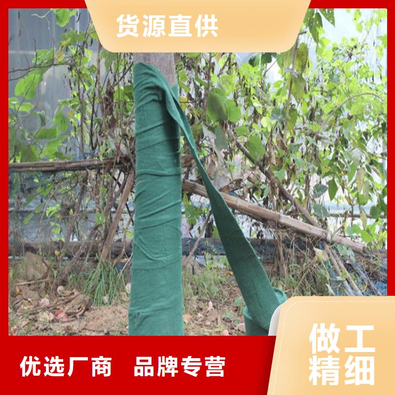 纏樹帶包樹無紡布條品種全