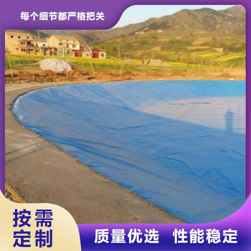 防滲膜抗老化耐腐蝕批發(fā)供應(yīng)