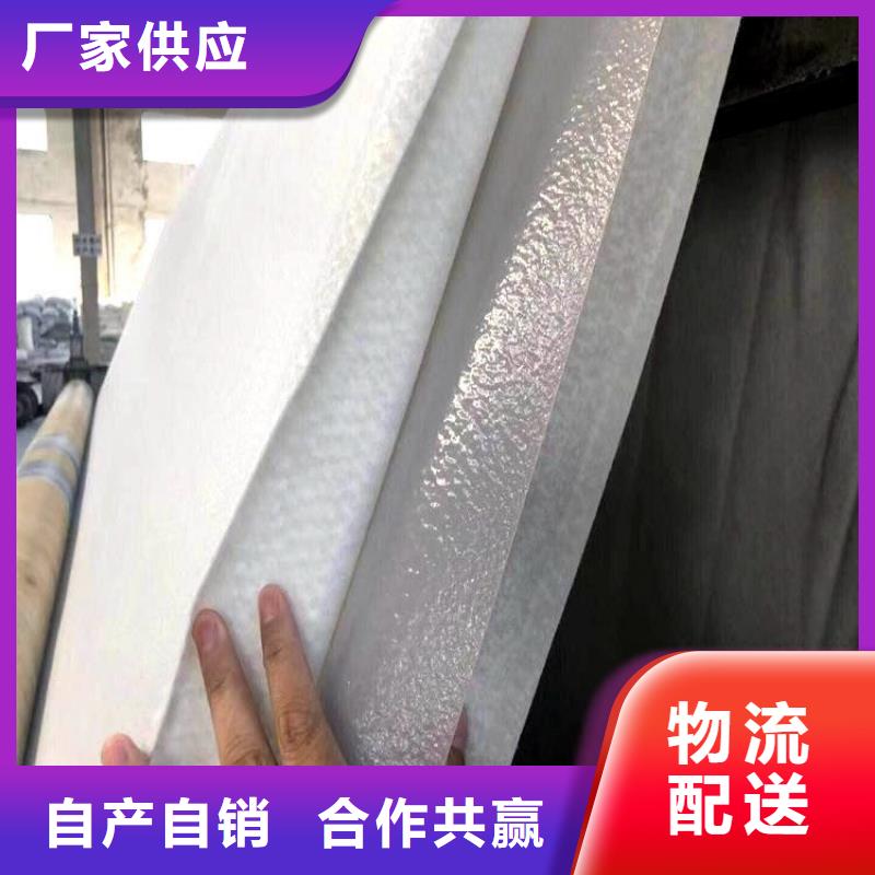 無紡針刺透水土工布本地制造商
