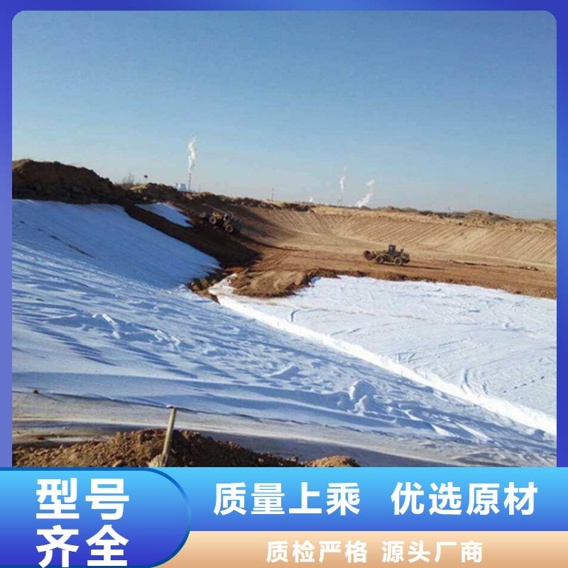 土工布膨潤土防水毯擁有多家成功案例價格地道