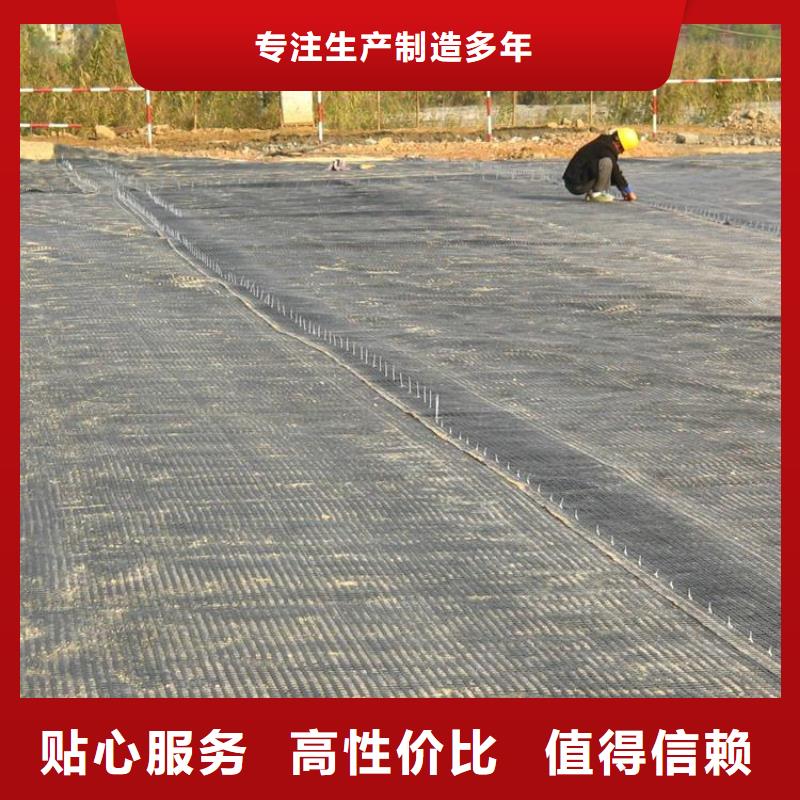 鋼塑土工格柵專業(yè)信賴廠家