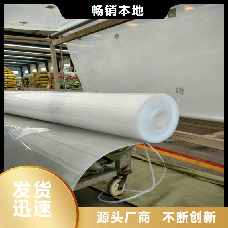 防水板雙向塑料土工格柵庫存豐富專業廠家