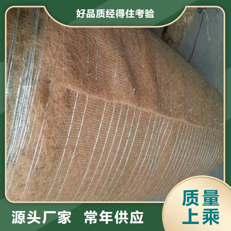 大興安嶺市水保抗沖生物毯 護(hù)坡椰絲植草毯