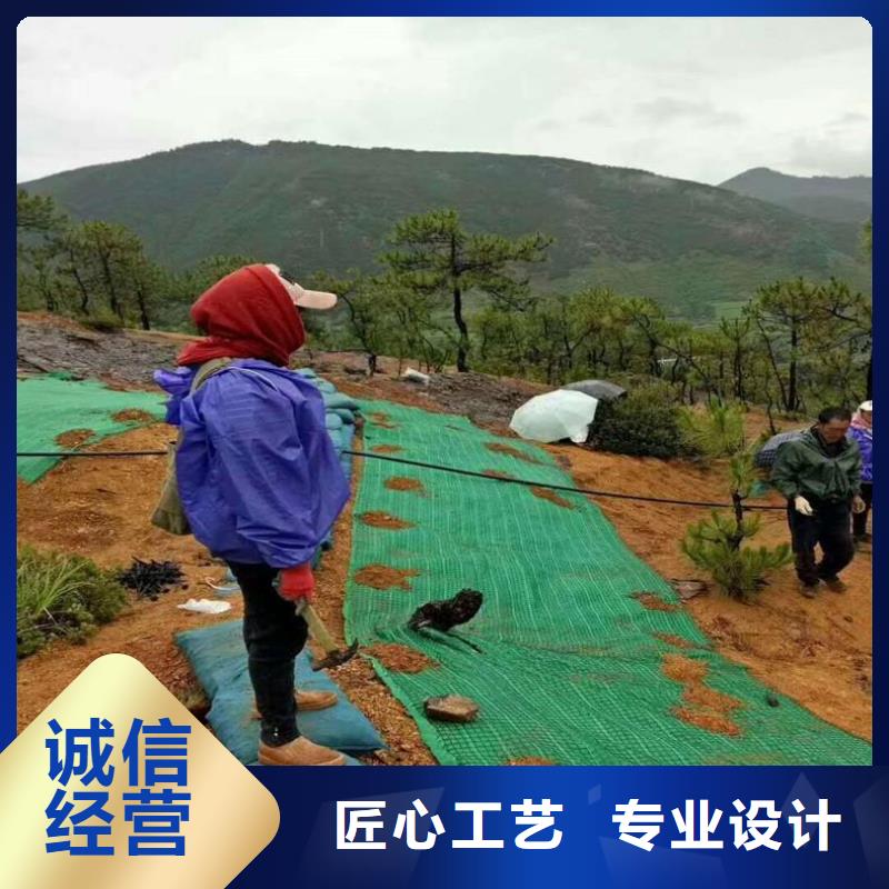 椰絲生態(tài)毯認(rèn)準(zhǔn)大品牌廠家