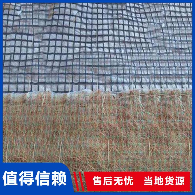 生態(tài)植物防護毯生態(tài)毯源頭廠家