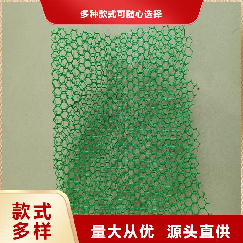 護坡EM3三維土工網墊同城貨源