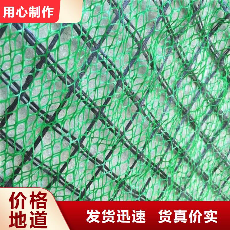 加筋EM5三維植被網廠家十分靠譜