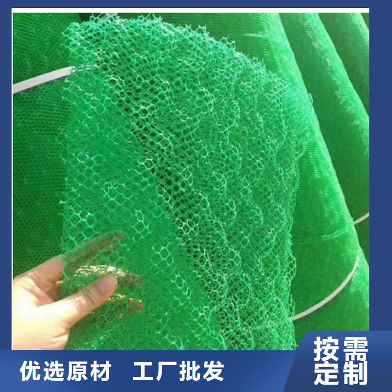 三維植被網(wǎng)土工布常年出售大量現(xiàn)貨供應(yīng)