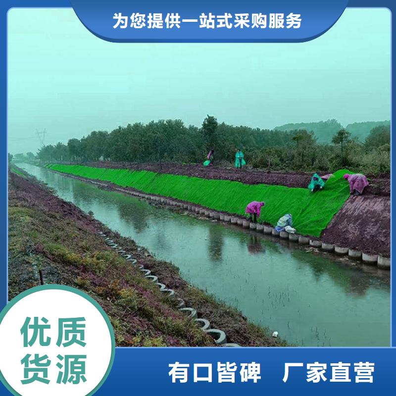 三維植被網供應代理當地生產廠家