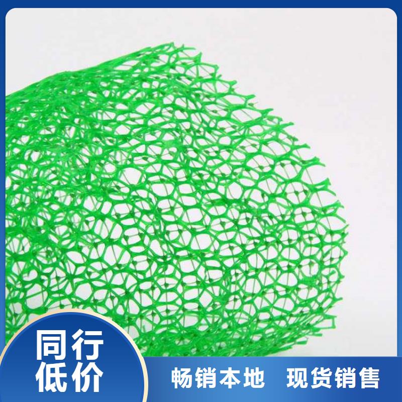 【三維植被網】拉筋帶種類豐富本地廠家