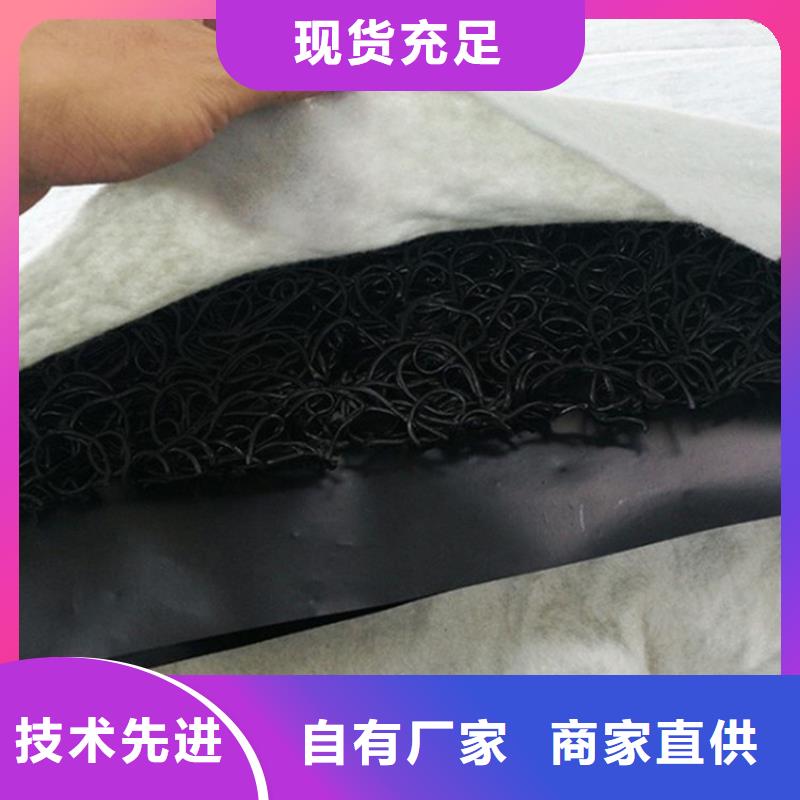土工席墊HDPE土工膜價格實惠工廠直供選擇我們選擇放心