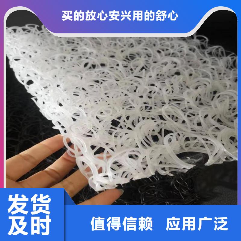 滲排水網(wǎng)墊現(xiàn)貨當(dāng)日發(fā)本地廠家