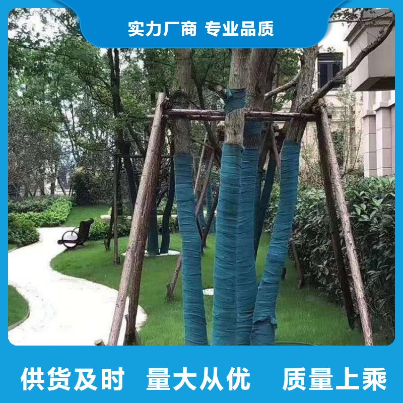 裹樹布【鋼塑土工格柵】優良材質現貨充足