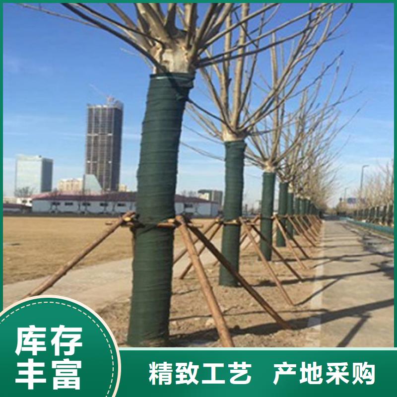 樹木包樹布裹樹帶為您精心挑選