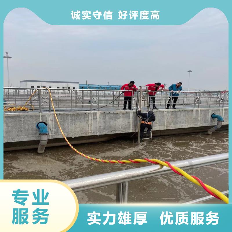 水下沉船打捞价格合理，态度温和-潜水选择浪淘沙<本地>生产厂家