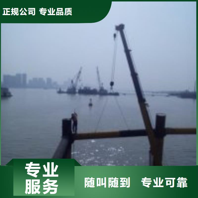 蛙人水下曝氣頭更換實力批發廠家快速