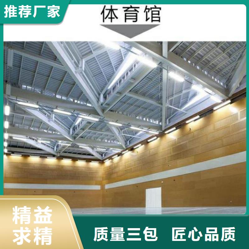 晋州市多功能体育馆声学改造方案--2025最近方案/价格来图加工定制