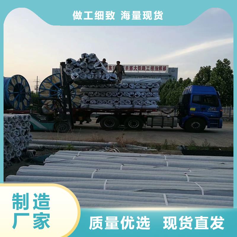 甄選：土工席墊的價(jià)格供應(yīng)商當(dāng)?shù)胤?wù)商