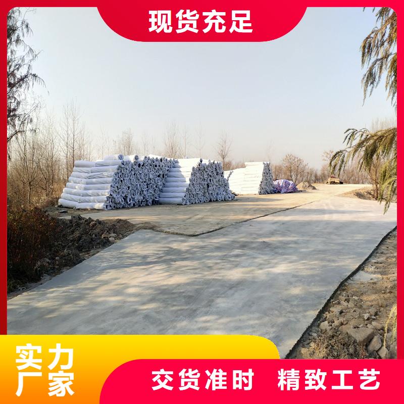 優惠的30mm厚rcp滲排水網墊正規廠家產地直銷