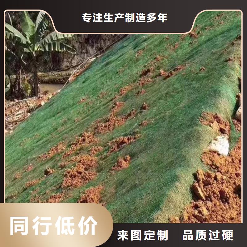 【三維植被網】-聚丙烯單絲纖維聯系廠家專注生產制造多年