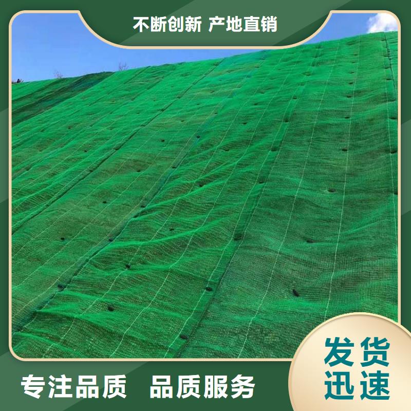 三維植被網_紫銅止水片廠家客戶好評用心做好每一件產品