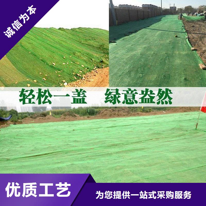 三維植被網-土工膜現貨齊全售后無憂口碑好實力強