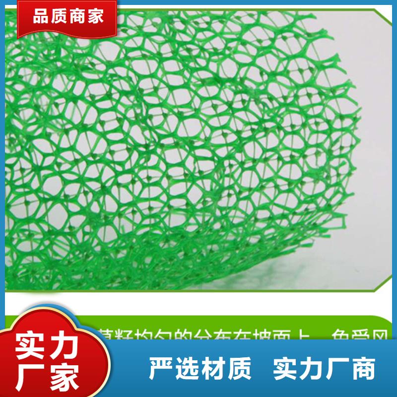三維植被網銅止水選擇我們沒錯就近發貨