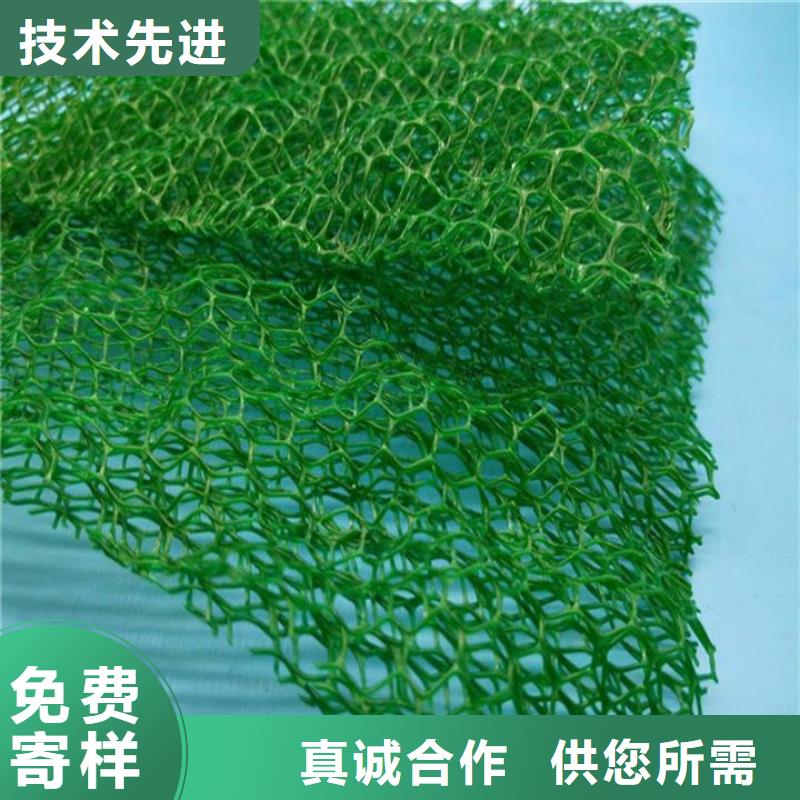 專業(yè)銷售塑料三維土工網(wǎng)墊-全國(guó)配送量大更優(yōu)惠