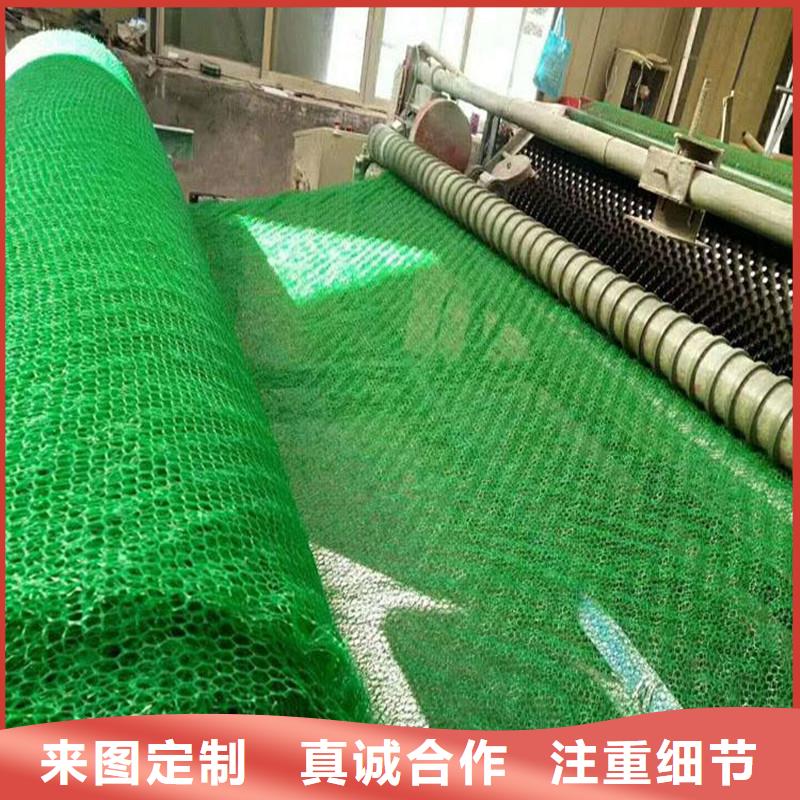 三維植被網(wǎng)【聚丙烯纖維生產(chǎn)廠家】性價比高用心做好細節(jié)