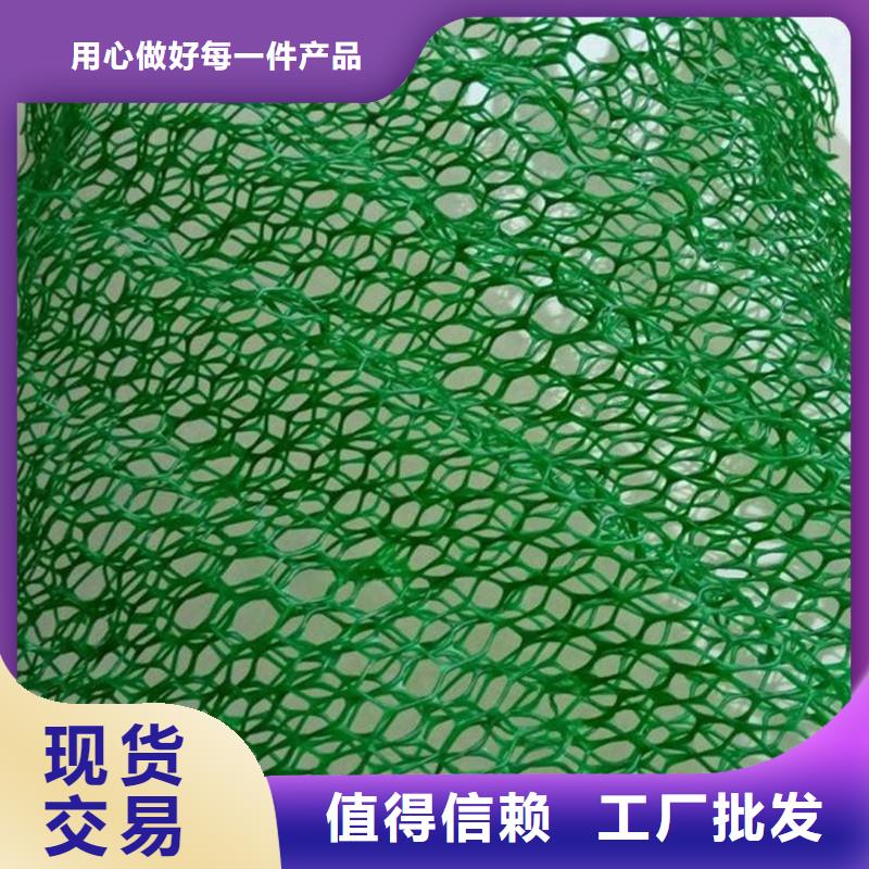 三維植被網_土工膜隨心所欲定制實地大廠