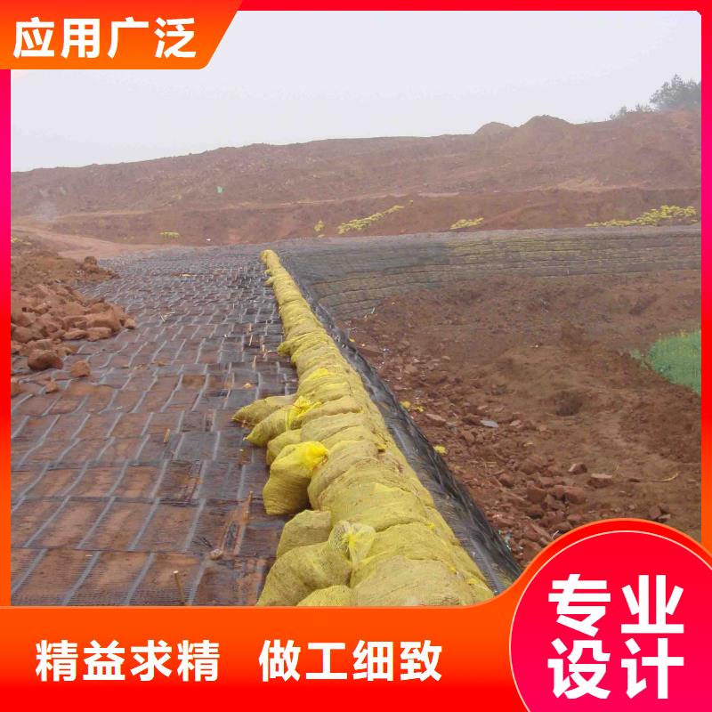 鋼塑土工格柵品質放心廠家定制零售批發