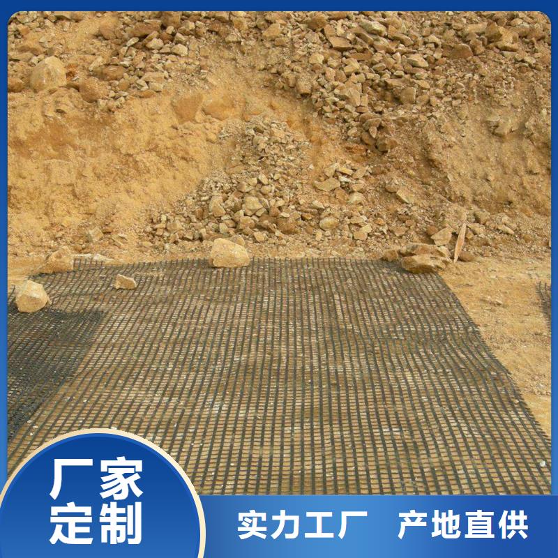 土工格柵-【紫銅止水片】發(fā)貨迅速供貨及時