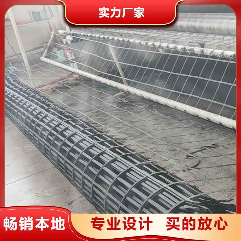 鋼塑土工格柵生產廠家廠家現貨直發當地制造商