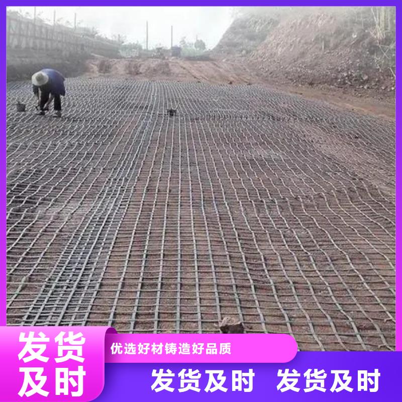 常年供應塑料土工格柵用途-全國配送當地生產廠家