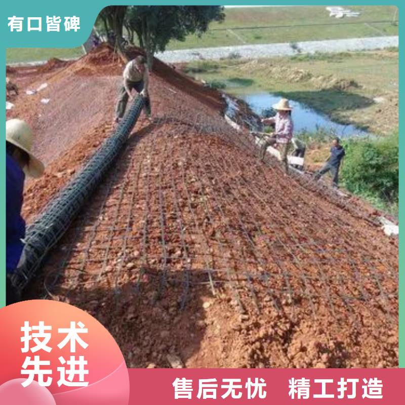 選三維土工格柵圖紙-現貨充足有保障當地生產廠家