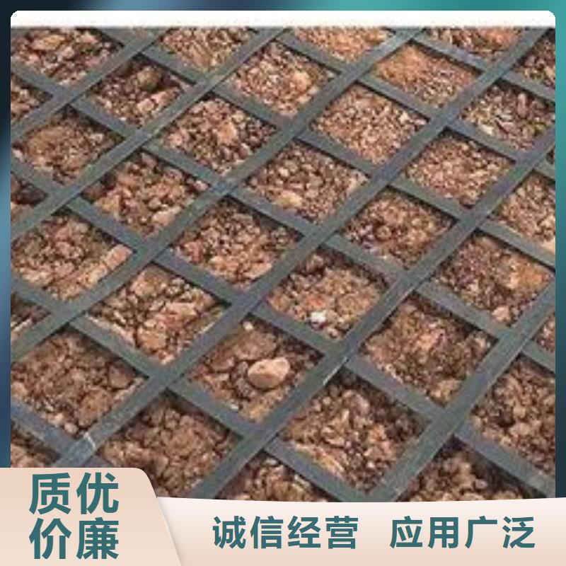 三維土工格柵網價格公道同城供應商