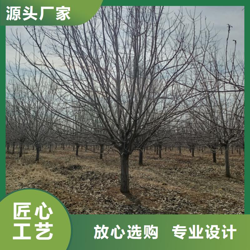 法桐細(xì)節(jié)嚴(yán)格凸顯品質(zhì)貼心服務(wù)