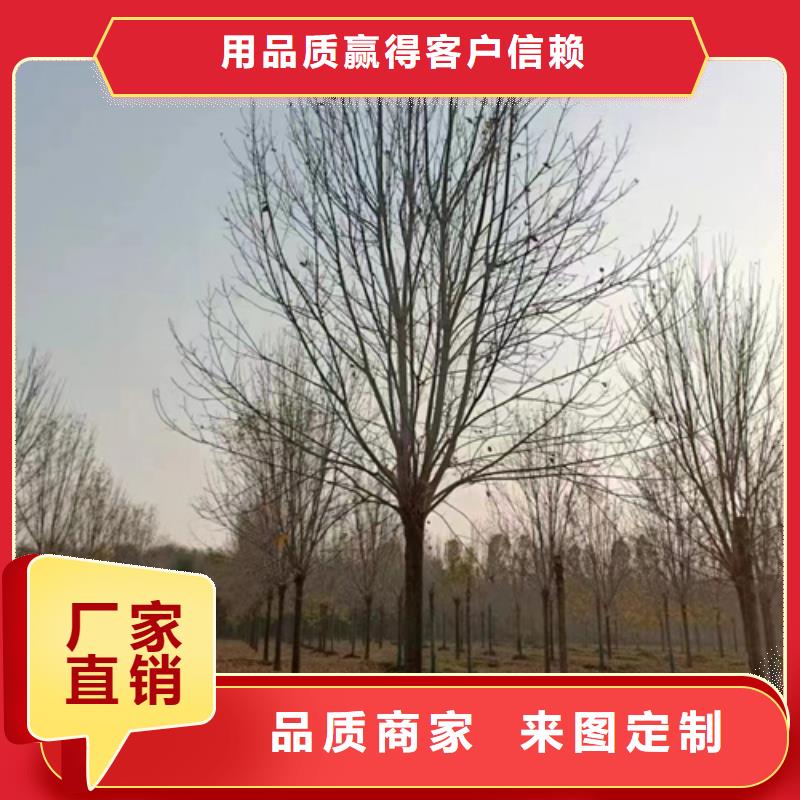 法桐支持非標(biāo)定制現(xiàn)貨直供