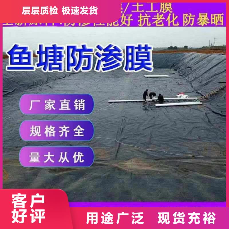 土工膜玻纖土工格柵嚴謹工藝源頭廠商