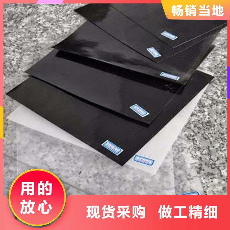 土工膜鋼塑格柵產地批發本地服務商