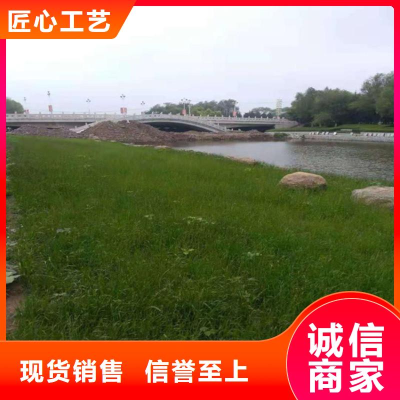 張掖護坡植被植草毯型號全